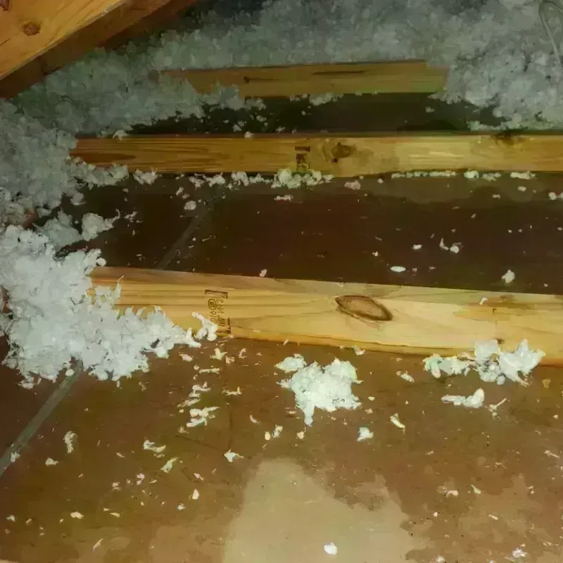 Attic Water Damage in Telfair County, GA