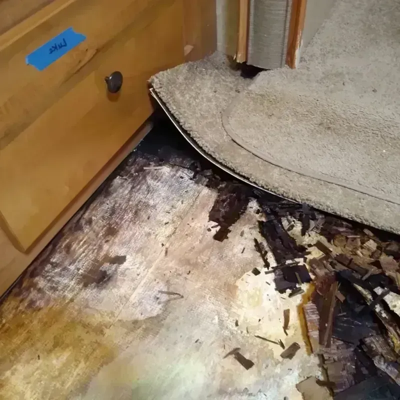 Best Wood Floor Water Damage Service in Telfair County, GA